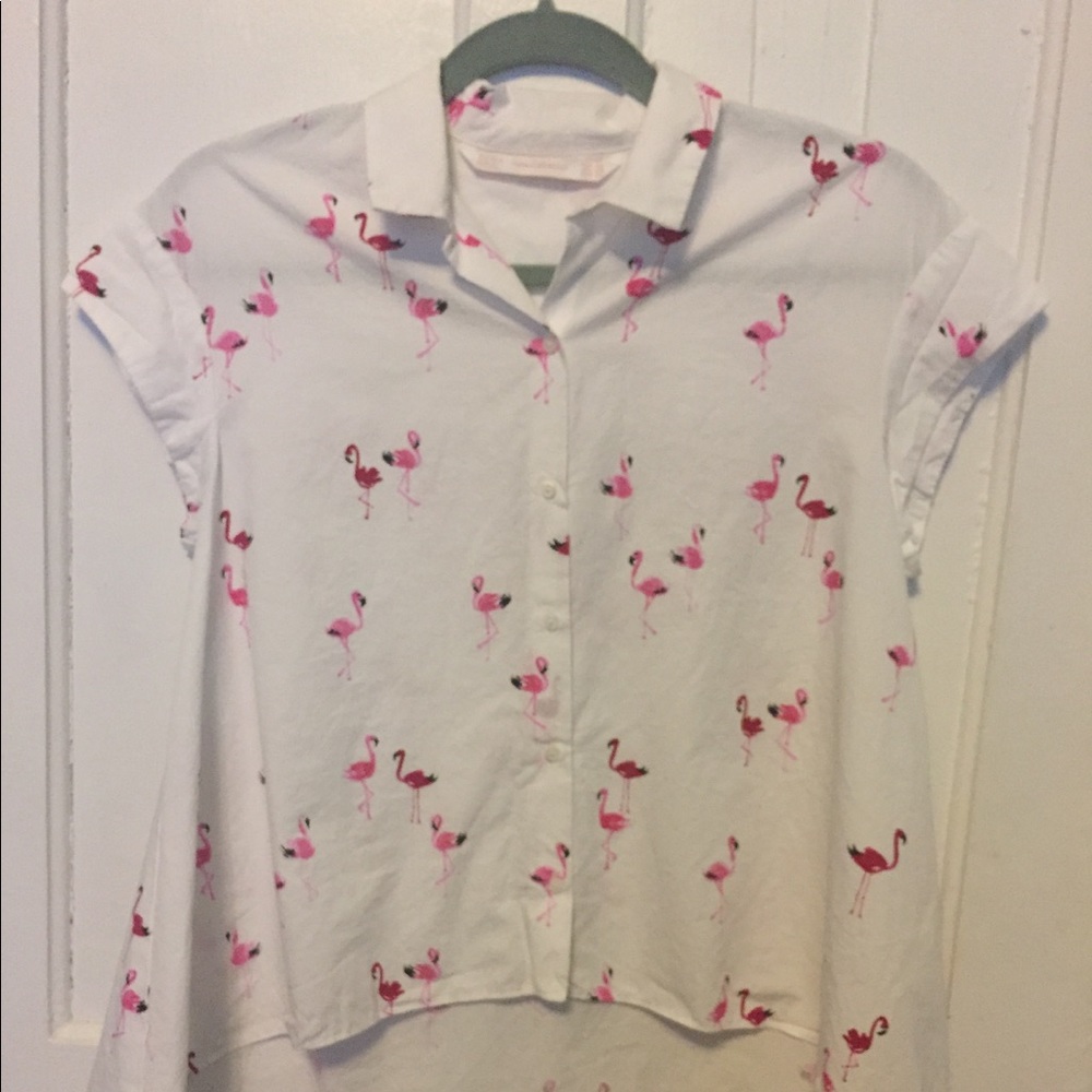 Hi-Lo Zara Short Sleeved Button Down